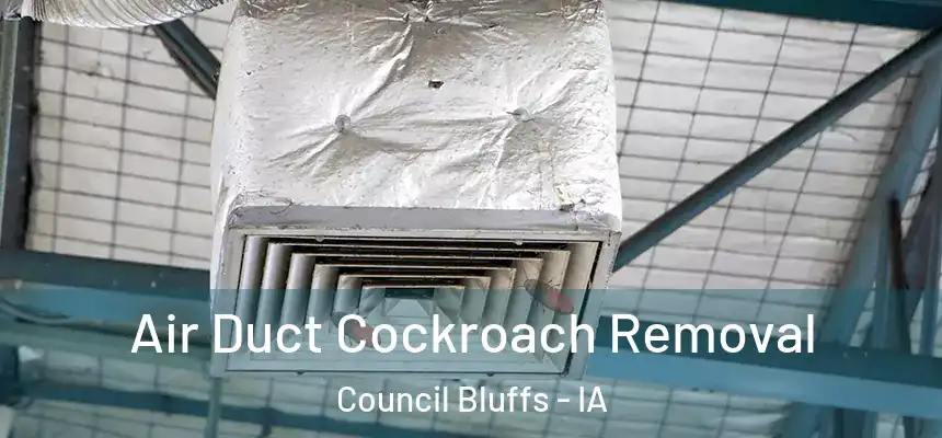  Air Duct Cockroach Removal Council Bluffs - IA