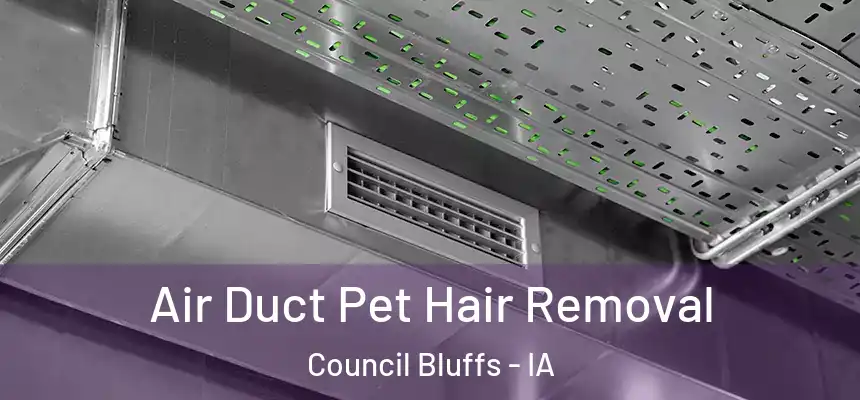 Air Duct Pet Hair Removal Council Bluffs - IA