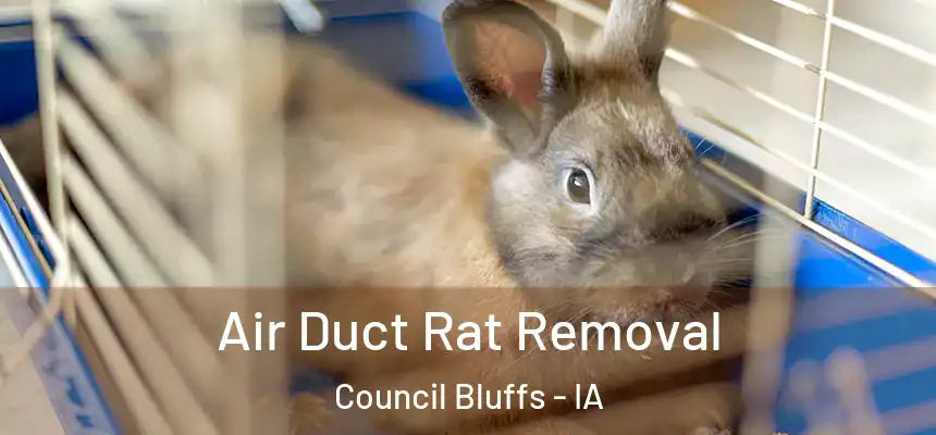  Air Duct Rat Removal Council Bluffs - IA