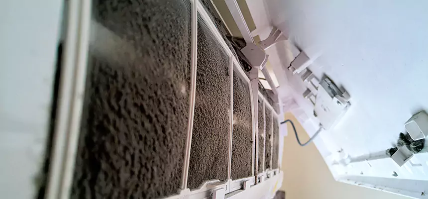 Preventive Air Duct Bacteria Removal in Council Bluffs