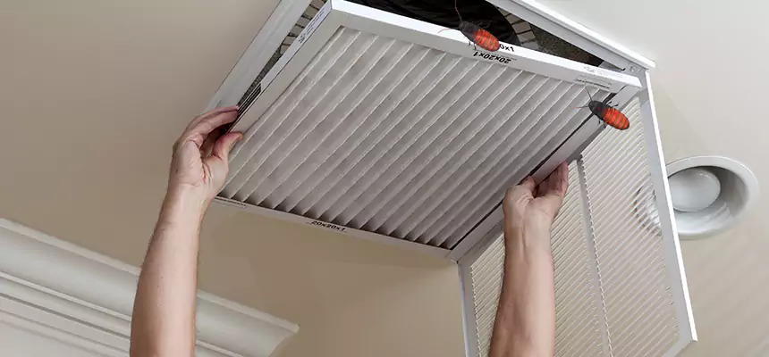 Preventive Cockroach-Proofing for Ducts in Council Bluffs
