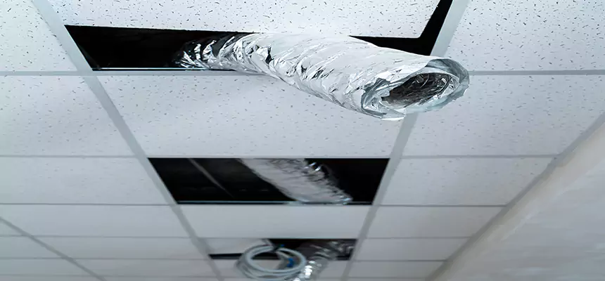 Our Air Duct Pet Hair Removal Services in Council Bluffs, IA