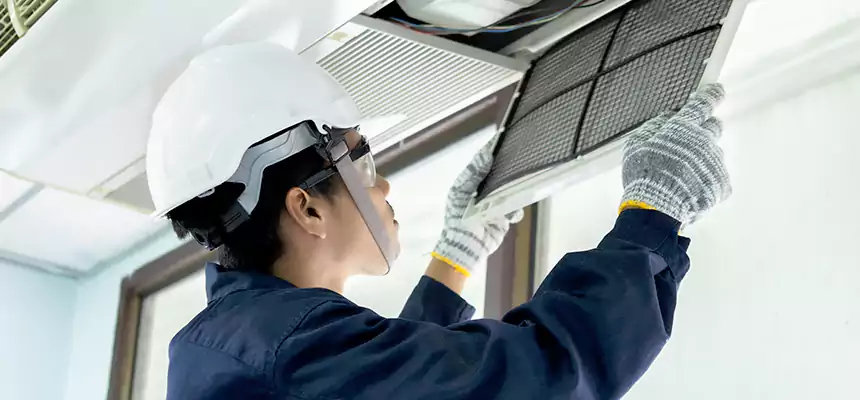 Our Mold & Mildew Removal from Air Ducts Services in Council Bluffs, IA