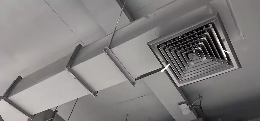 Our Pest Removal From Ducts Services in Council Bluffs, IA