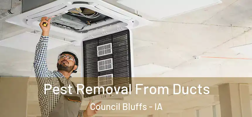  Pest Removal From Ducts Council Bluffs - IA