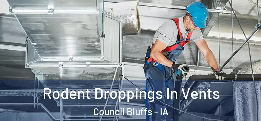  Rodent Droppings In Vents Council Bluffs - IA