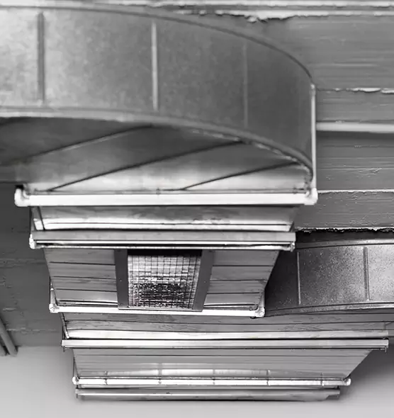 Professional Air Duct Pest Removal in Council Bluffs, IA