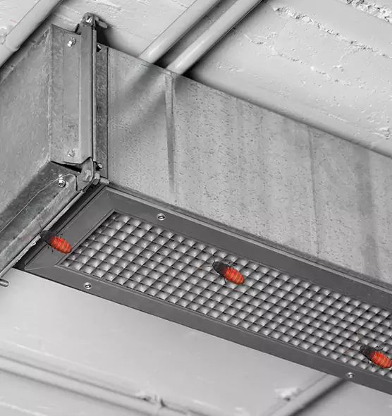 Affordable Insect Removal from Air Ducts in Council Bluffs, IA