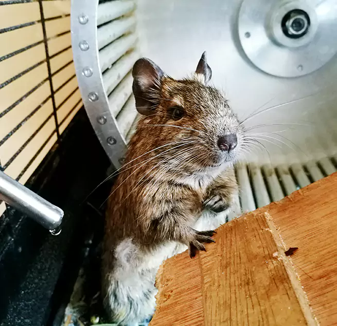 Why Homeowners & Businesses Trust Us Council Bluffs, IA?